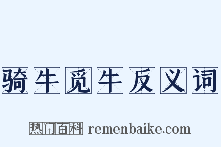 骑牛觅牛反义词是什么意思的图片